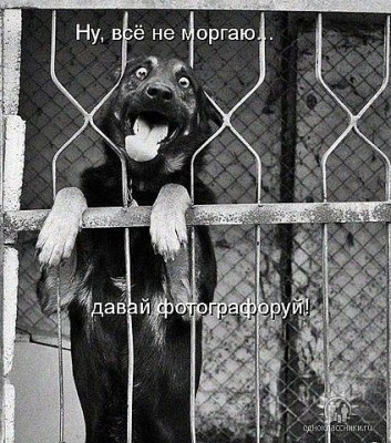 не моргаю.jpeg