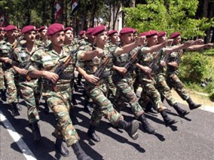 sily_Sirii-300x225.jpg
