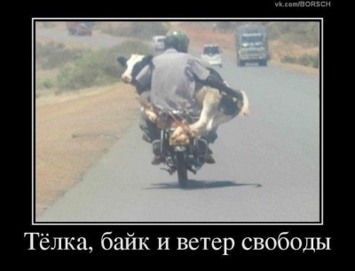 Hb1fXPcuLs4.jpg