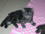 DSCN0573.JPG