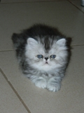 DSCN0569.JPG