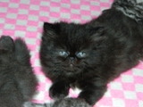 DSCN0566.JPG