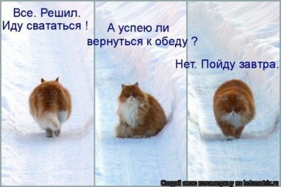 iy3d6JVOKDg.jpg