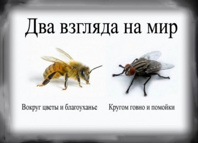 1111111111111111.jpg