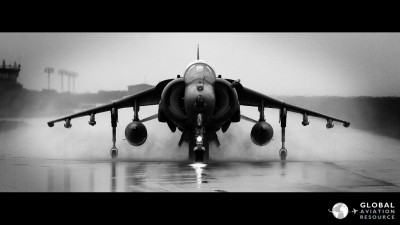 harrier.jpg