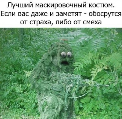 R7xA70y2tIo.jpg