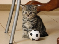 DSCN0663.JPG