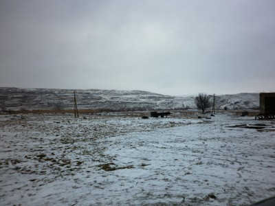 P1020176.JPG