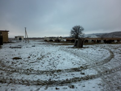P1020180.JPG