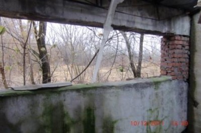 CIMG2528.JPG
